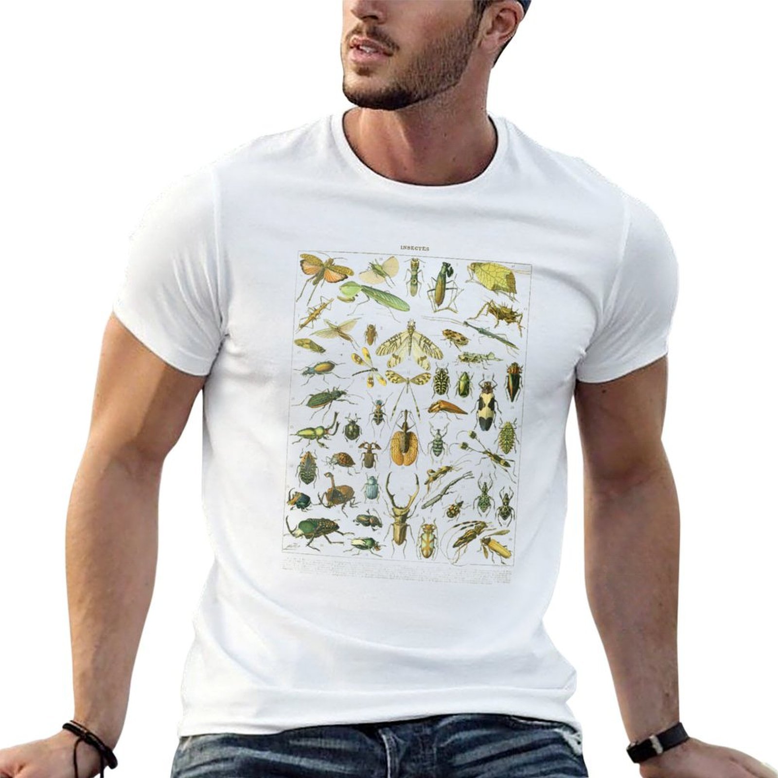 Collectible Vintage T Shirts - Vintage Insect Collection T-Shirt Plus Size