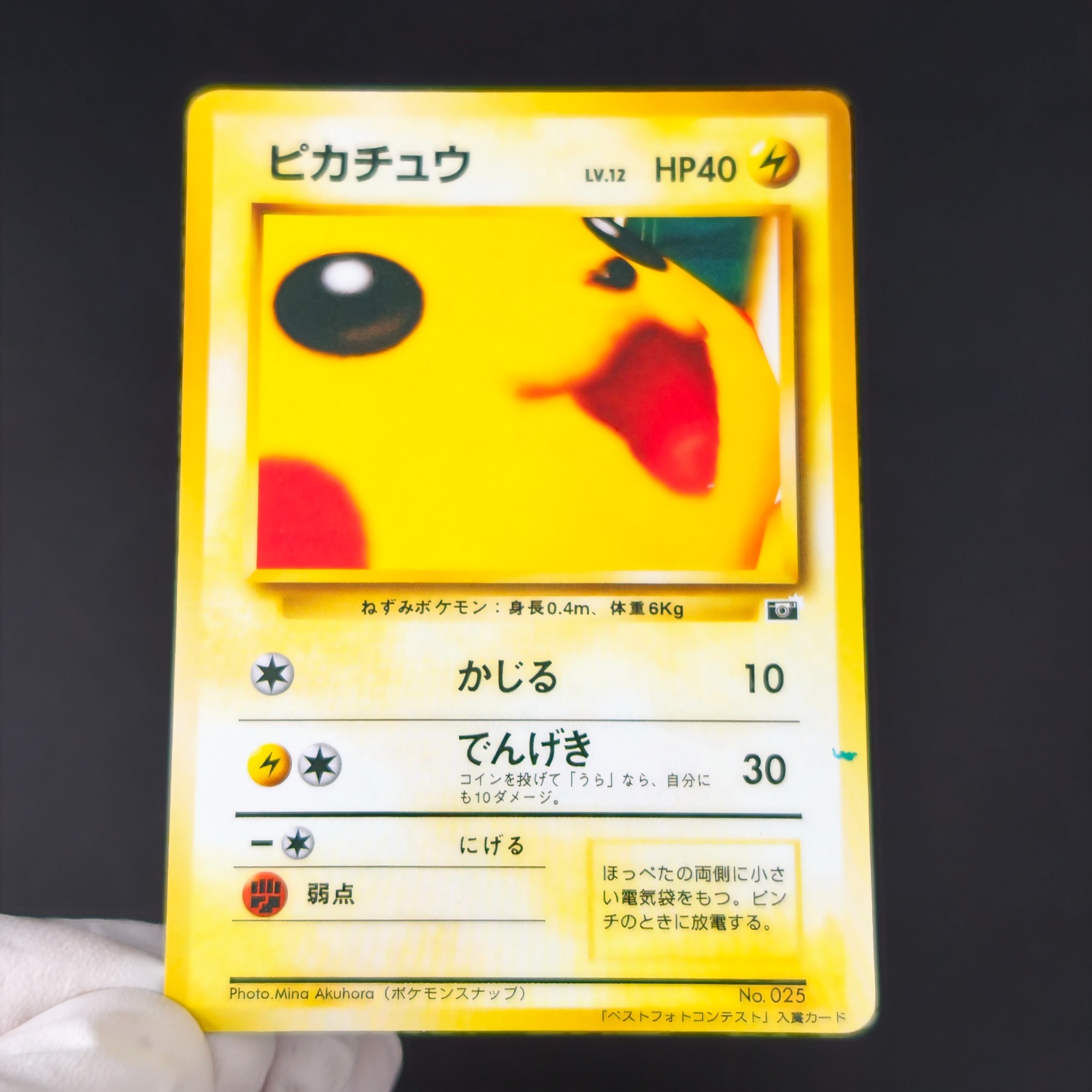 10PCS Pokemon Vintage Boy Bulb - đánh giá và giá Vintage Pokemon Collectible