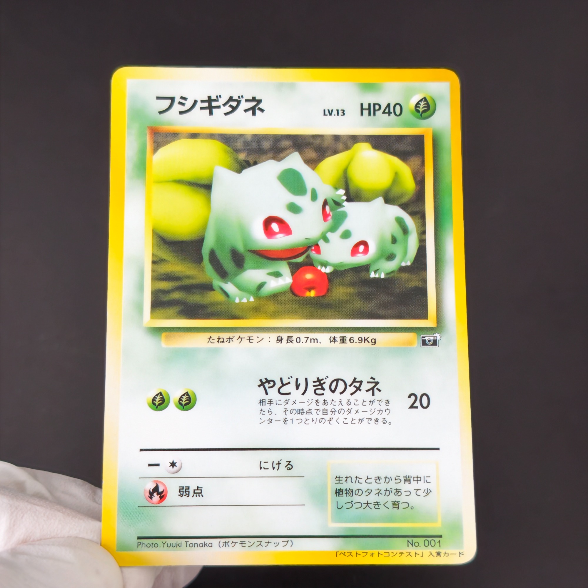 10PCS Pokemon Vintage Boy Bulb - đánh giá và giá Vintage Pokemon Collectible